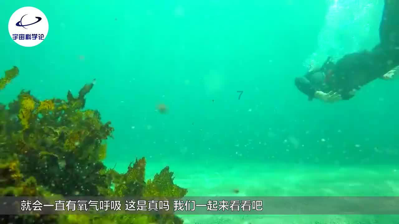 球球大作战下载最新版